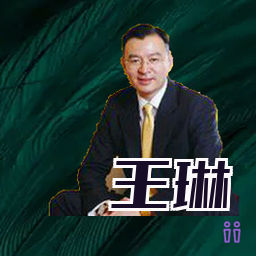 王琳